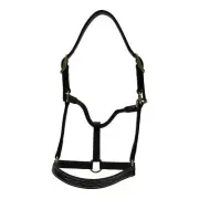 Huntley Equestrian Huntly Equestrian Fancy Stitched Traditional Halter Pony