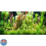 Aquarium Background Underwater Sea Grass Fish Tank Background Aquatic Under W