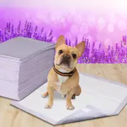 Pawz Pet Dog Cat Puppy Training Pads Toilet Potty Pee Mat Lavender 60x60cm 400pc