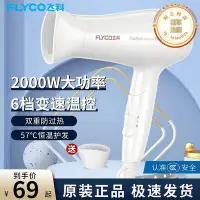 在飛比找Yahoo!奇摩拍賣優惠-飛科吹風機家用2000W大功率恆溫護髮吹風機可摺疊冷熱風宿舍