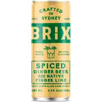 [Brix] Brix Spiced Ginger Beer Can 330mL