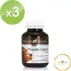 【Health Nature】蜂膠膠囊2000mg 90顆 3入