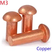 M3 Button Round Head Solid Copper Rivet Knurled Rivet Nut Inser nuts