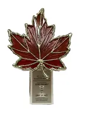 BATH & BODY WORK WALLFLOWER NIGHT LIGHT UP 24/7 PLUG IN Autumn Maple Leaf
