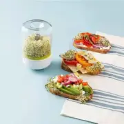 Sprouter Growing Kit Plant Germination Tool Countertop Bean Sprouts Machine D