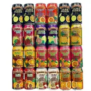 Hawaiian Sun Premium Tropical Juice Drink Party Bundle of 10 Assorted Flavors (2