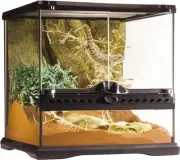 Reptile Cage EXOTERRA GEX EXOTERRA Galasterium Double Front Door From JAPAN