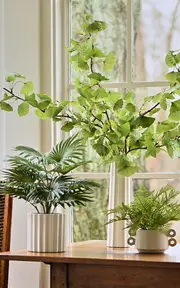 [Diane James Designs] Small Fern in Ceramic Pot