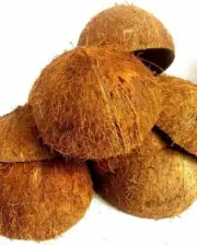 COCONUT SHELL 100% NATURAL PURE ECO FREINDLY coconut shell bowl 100 piece bowl