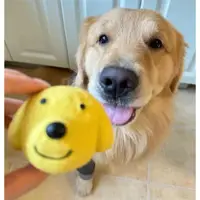 在飛比找ETMall東森購物網優惠-日本DOG DEPT寵物乳膠發聲球狗玩具球球黃金獵犬金毛犬D