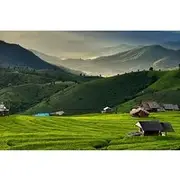 Save 5.00%! Pa Pong Piang Rice Terrace and Doi Inthanon National Park