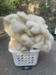 4+ Lb Lot Michigan USA Wool, Light Cream Roving Spin Felt Dye