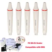 Dental Ultrasonic Piezo Scaler 2*Bottles for Cavitron EMS /5*Handpiece SKYSEA