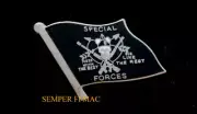 US ARMY SPECIAL FORCES CREST FLAG HAT PIN