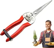 Garden Scissors - Stainless Steel Pruning Scissors Plant Clippers - Plant Trimming Pruners For Fruit Trees Grapes Vines Oranges, Harvesting Tool