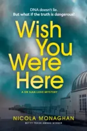 Wish You Were Here by Nicola Monaghan 9780857308085 Paperback softback