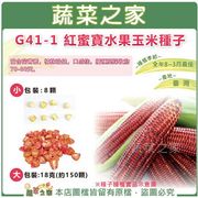 【蔬菜之家】G41-1.紅蜜寶水果玉米種子 (共2種規格可選)