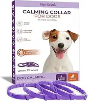 Royce Naturals 4 Pack Calming Collar for Dogs, Pheromone Breakaway Dog Collar, Separation Anxiety Relief for Dogs, Purple, (PETCOL01-3PP)