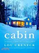 Cabin ─ Two Brothers, a Dream, and Five Acres in Maine