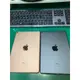 iPad Mini 5 (Cellular) iPad Mini 5 (WiFi) 隨機出貨