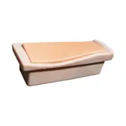 Bone Injection Gun Foam Cartridge for Training Purposes