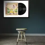 Framed Taylor Swifts Reputation Vinyl Album Art