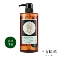 在飛比找Yahoo奇摩購物中心優惠-tsaio上山採藥 茶樹美背沐浴露600ml