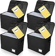 DJAPWPX 4 Pcs Comic Book Storage Box with Enclosed Lid and Handles Holds 150-180 Comic Books for Wardrobe Closet Shelf Office