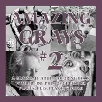 在飛比找博客來優惠-Amazing Grays #2: A Grayscale 