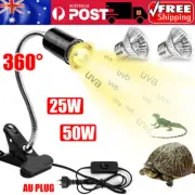 UVA+UVB Reptile Heat Basking Light Bulb Lamp Clip For Turtle Tortoise Lizard 25W
