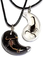BEST FRIEND Scorpion Yin Yang 2 Pendants Necklace Set BFF Friendship Ying Black