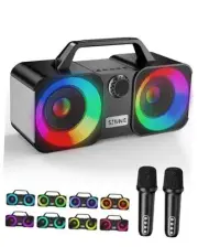 Karaoke Machine, Portable Bluetooth Speaker with 2 Wireless
