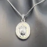 Turtle Necklace, Coin Necklace, Greek Ancient Replica Turtle Pendant Sterling S