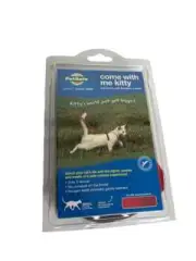 Pet Safe Come with me kitty harness and bungee leash