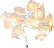 BESPORTBLE Flower Rose Vine String Lights 20 LED Artificial Rose Garland Fairy Lights USB Plug in Party Twinkle Lights for Indoor Outdoor Wedding Birthday Anniversary Decor White