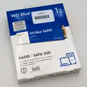 Western Digital WD Blue SA510 SATA M.2 Internal SSD WDS100T3B0B-00AXS0