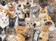 Peter Pauper Press All The Cats 500 Piece Jigsaw Puzzle
