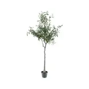UN-REAL 170cm Artificial Olive Tree