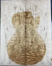 Figure les paul Guitar Top Ripple Spalted Maple Bookmatched Wood Luthier Supply