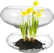 GALPADA 2 Pcs Glass Fish Bowl Vases Round Terrarium for Floating Plants Stylish Table Centerpiece Versatile Decor for Home Events Smooth Surface Easy to Clean