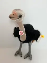 Steiff Piccy Ostrich, hard to find, retired. Mohair. EAN 068706