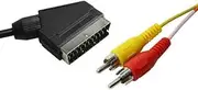 Velocraze RCA Connector: Audio and Video Cable with red and Yellow connectors, Ideal for transmitting Composite Video and Stereo Audio Signals.