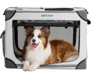 Collapsible Portable Dog Carrier Crate Foldable Travel Kennel for Medium Dog 30"