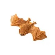 2022 Yowie Animals With Superpowers Series # SOUTHERN BENT-WINGED BAT