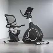 [Lifespan Fitness] Lifespan Fitness - RC-300 Recumbent Bike