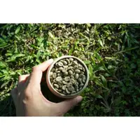 在飛比找蝦皮購物優惠-咖啡生豆｜巴布新幾內亞 精選小農｜有機咖啡豆