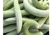 CUCUMBER 'Armenian' seeds