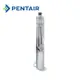 PENTAIR EVERPURE i2000 2 商用抑垢濾心 製冰機 咖啡機 美國原裝進口