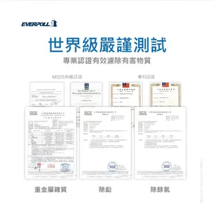 EVERPOLL AD-02濾心(AD02)適用全戶濾淨系統AD-2000 TK-250 (10折)