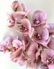 REAL TOUCH DUSTY PINK ORCHID STEM ARTIFICIAL FLOWERS MOTH ORCHIDS FLOWER LATEX